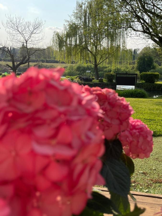 Bed and Breakfast La Finestra Sul Fiume Valeggio sul Mincio Exteriér fotografie