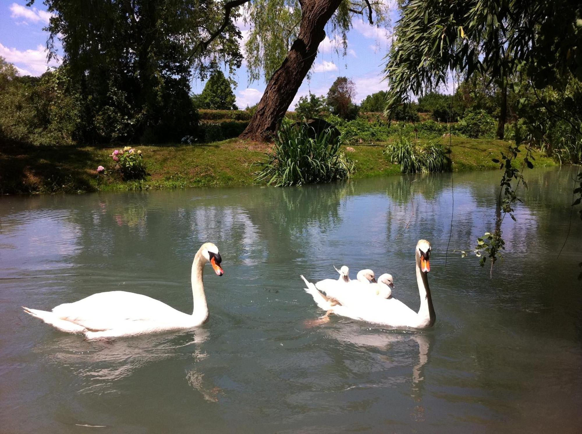 Bed and Breakfast La Finestra Sul Fiume Valeggio sul Mincio Exteriér fotografie